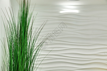 装饰性白色浮雕墙旁边的一株绿色植物图片