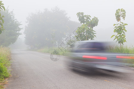 绿树林一带雾雾的清晨 汽车在路上被模糊国家天气风险安全地面旅行驾驶薄雾危险车辆图片