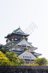 大阪城堡 白色背景的树 复制空间图片