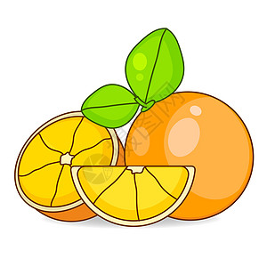 与在白色背景隔绝的叶子的橙色切片 适用于贺卡海报或 T 恤印刷的矢量插图水果收藏热带菜单小吃饮食果汁营养食物圆圈图片