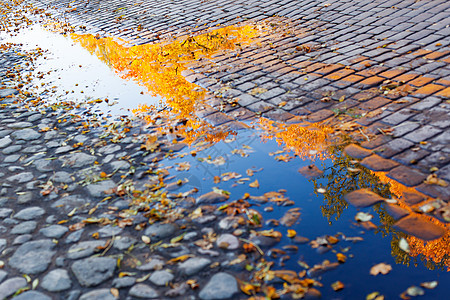 城市秋天背景 俄罗斯维博格市街头游泳池中金色树叶的闪亮景象图片