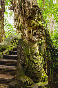 有翅膀和装饰的龙神话动物雕像 猴子森林里的摩西雕塑 乌布德 印度尼西亚巴厘图片