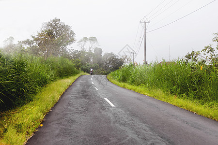 路上大雾 驾驶摩托车的恶劣天气 穿过迷雾笼罩的常绿丛林的道路 冬季雨季 印度尼西亚木头灯笼绿色植物自行车薄雾图片