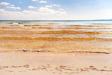 沙滩上的软海浪 蓝天空 金沙和海草 瓦拉德罗 古巴 加勒比海图片