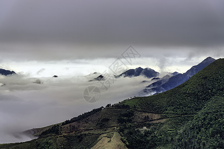 Ta Xua是越南北部著名的山脉 全年 山顶上一直高升云层 造成云的反向绿色天空天堂旅游爬坡游客旅行风景多云森林图片