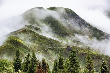 Ta Xua是越南北部著名的山脉 全年 山顶上一直高升云层 造成云的反向多云风景爬坡旅游天空森林天堂旅行绿色游客图片