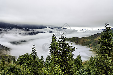 Ta Xua是越南北部著名的山脉 全年 山顶上一直高升云层 造成云的反向风景绿色游客爬坡多云天堂天空森林旅行旅游图片