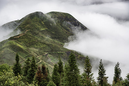 Ta Xua是越南北部著名的山脉 全年 山顶上一直高升云层 造成云的反向旅行森林多云游客天空天堂旅游绿色爬坡风景图片