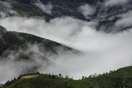 Ta Xua是越南北部著名的山脉 全年 山顶上一直高升云层 造成云的反向天空天堂绿色风景旅行森林爬坡旅游多云游客图片