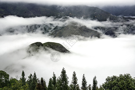 Ta Xua是越南北部著名的山脉 全年 山顶上一直高升云层 造成云的反向天空爬坡旅行森林多云旅游天堂绿色游客风景图片