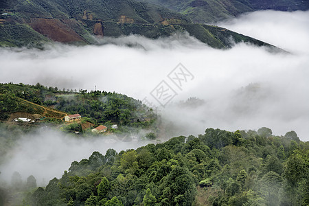 Ta Xua是越南北部著名的山脉 全年 山顶上一直高升云层 造成云的反向绿色天空森林旅行游客多云天堂风景旅游爬坡图片