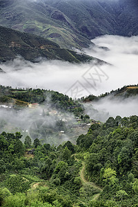 Ta Xua是越南北部著名的山脉 全年 山顶上一直高升云层 造成云的反向游客森林天堂爬坡绿色旅游旅行天空多云风景图片