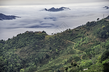 Ta Xua是越南北部著名的山脉 全年 山顶上一直高升云层 造成云的反向旅游森林天堂天空游客绿色多云风景爬坡旅行图片