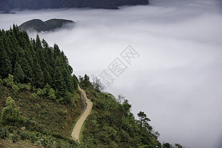 Ta Xua是越南北部著名的山脉 全年 山顶上一直高升云层 造成云的反向天堂游客绿色风景森林旅游多云旅行爬坡天空图片