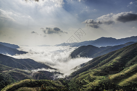 Ta Xua是越南北部著名的山脉 全年 山顶上一直高升云层 造成云的反向多云天堂天空爬坡旅游旅行森林游客风景绿色图片