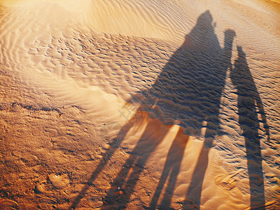 骆驼和沙丘上的贝都因的旅游者影子 撒哈拉沙漠日落 突尼斯图片