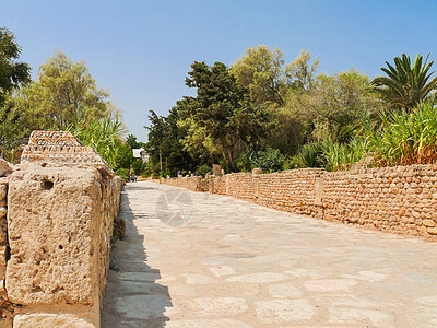 迦太基 Carthage 古迦太基文明的都城遗址 古道 联合国教科文组织世界遗产 突尼斯 突尼斯图片