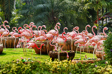 一群粉红色的火烈鸟 花园中的园林文化 大型奇异鸟类的装饰雕像 芭堤雅 泰国图片