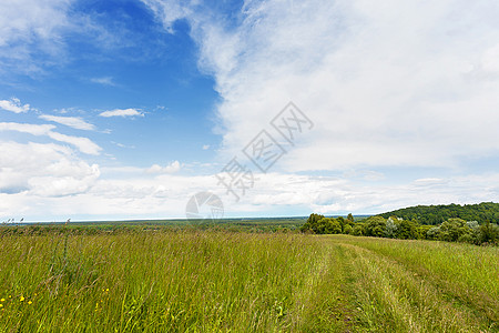 自然背景摘要 农村道路沿田野而来 阳光明媚的日落之景 俄罗斯图片
