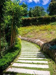 夏天公园里美丽的小路风景秀丽的 wi花园岩石绿色人行道植物公园草地途径地面绿化图片