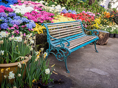 园圃的草坪上 有桌椅和椅子木头桌子花园家具绿色座位草地植物露台叶子图片