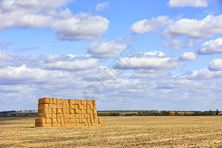在丰收后一片广阔的田野和青云般的天空的背景下 有一大堆稻草蓝色场地土地干草草垛草堆地平线农业农场阳光图片