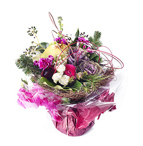 生日花生日礼物粉色工作室玫瑰植物图片