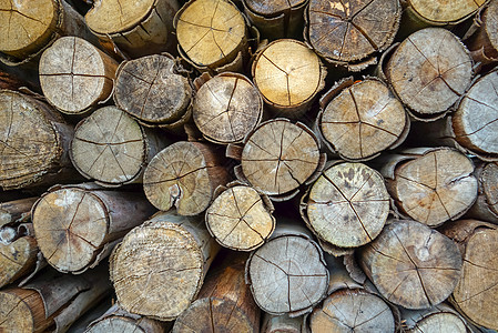 砍断树干作为燃料 柴火木材图片