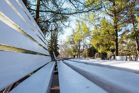 清晨公园小巷的长凳上摆着长椅草地街道途径木头座位叶子场景人行道晴天小路图片