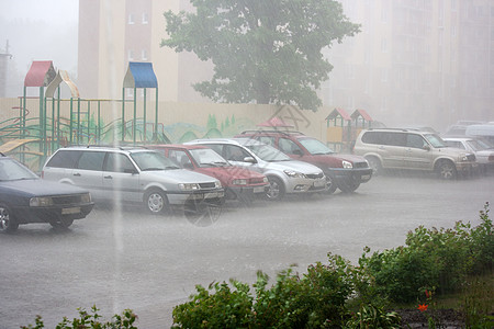 在夏日的雨中图片