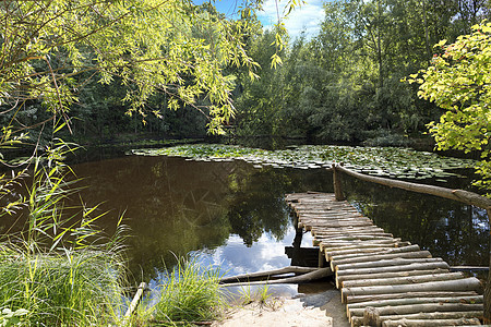 夏季池塘固体原木的小型木制码头图片