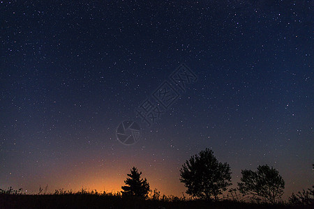 星空和日落的黑夜背景下 三棵树的休眠月亮与日落图片