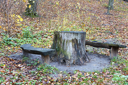 森林中用作桌椅的堆积板和户外长凳图片