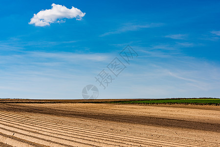 农村边的犁田或犁田 有机食品和农牧业季节土地天空全景环境蓝色风景收成农田爬坡图片