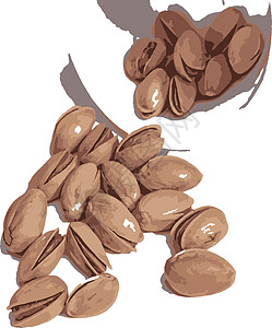 在白色背景上特写带壳的开心果健康小吃营养坚果宏观核心植物团体盐渍水果图片