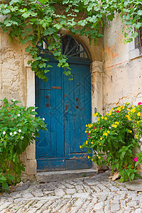 旧蓝色门和花盆中的鲜花图片