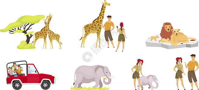 非洲远征平面矢量插图集 一对长颈鹿靠近树 旅游团在车上 女人和男人观察大象 狮子家族 人与动物孤立的卡通人物图片