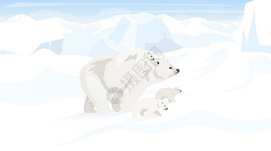 北极平面矢量图 与北极熊家族的南极景观 雪沙漠全景白土地 极地动物 野生环境 北极生物卡通壁纸图片