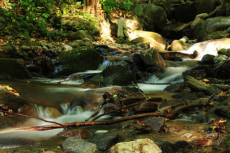 森林中的林中溪流运动大自然叛乱气候摄影森林地方自来水地区环境图片