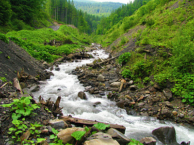 在喀尔巴阡山脉山丘之间的一条快山河的道路上 有一连串巨石和老原木图片