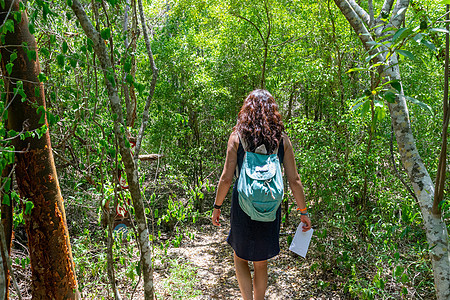 妇女在森林中行走公园荒野远足踪迹野生动物人行道游客旅游女孩森林图片