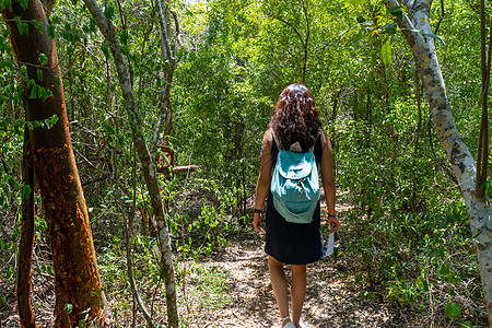 妇女在森林中行走野生动物游客途径森林荒野背包晴天人行道踪迹远足图片
