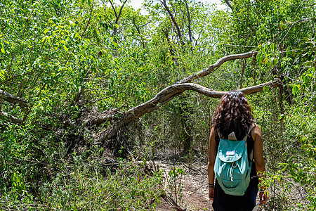 妇女在森林中行走树木公园途径人行道晴天背包女士远足者踪迹远足图片
