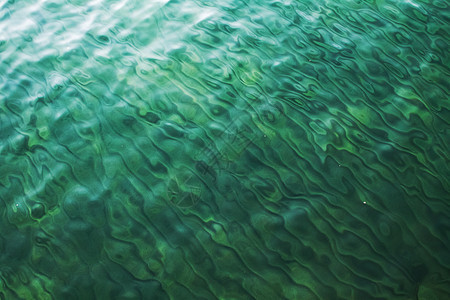 湖边的绿色海浪季节蓝色反射荒野场景风景图片