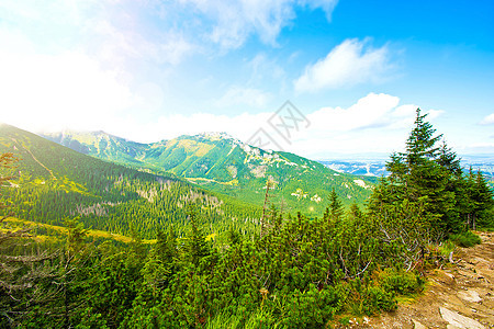 山中的自然森林日落小路石头植物公园蓝色太阳环境天空图片