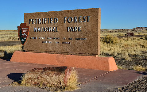 带有公园石化森林名称的信息符号红杉风景树干矿化石化林土壤国家石头水晶树木图片