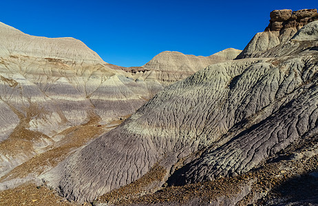 阳光明媚的沙漠 各种沉积岩层图层石头森林侵蚀地形彩绘砂岩峡谷土壤编队图片