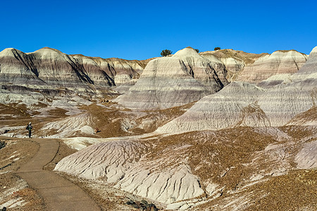 阳光明媚的沙漠 各种沉积岩层森林图层悬崖石头峡谷彩绘侵蚀荒地土壤地质学图片