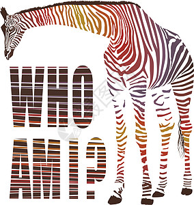 我是谁异国荒野插图数字艺术斑马哺乳动物动物野生动物皮肤图片