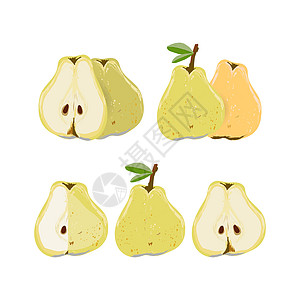 设置为白色背景矢量插图上隔离的整片和切出的梨子健康饮食绿色叶子种子梨图水果食物黄色图片
